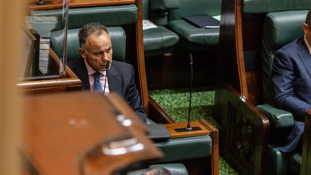 Victorian Liberal MP John Pesutto is staving off financial ruin after a legal row with a colleague.