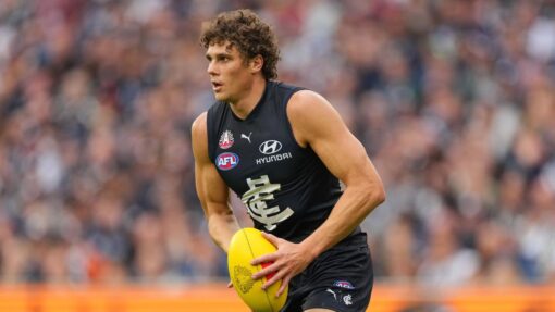 AFL BLUES CATS