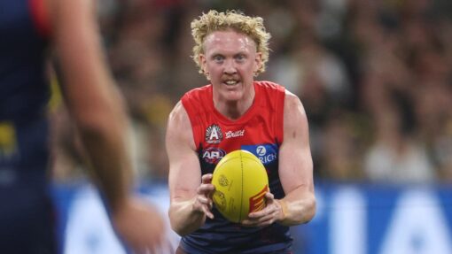 AFL DEMONS TIGERS