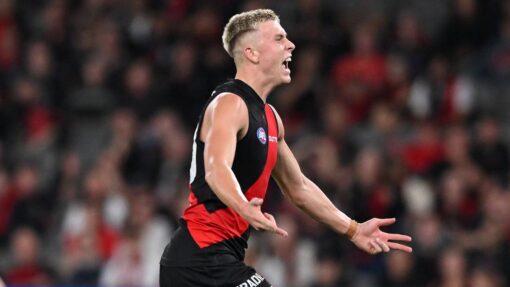 AFL BOMBERS POWER