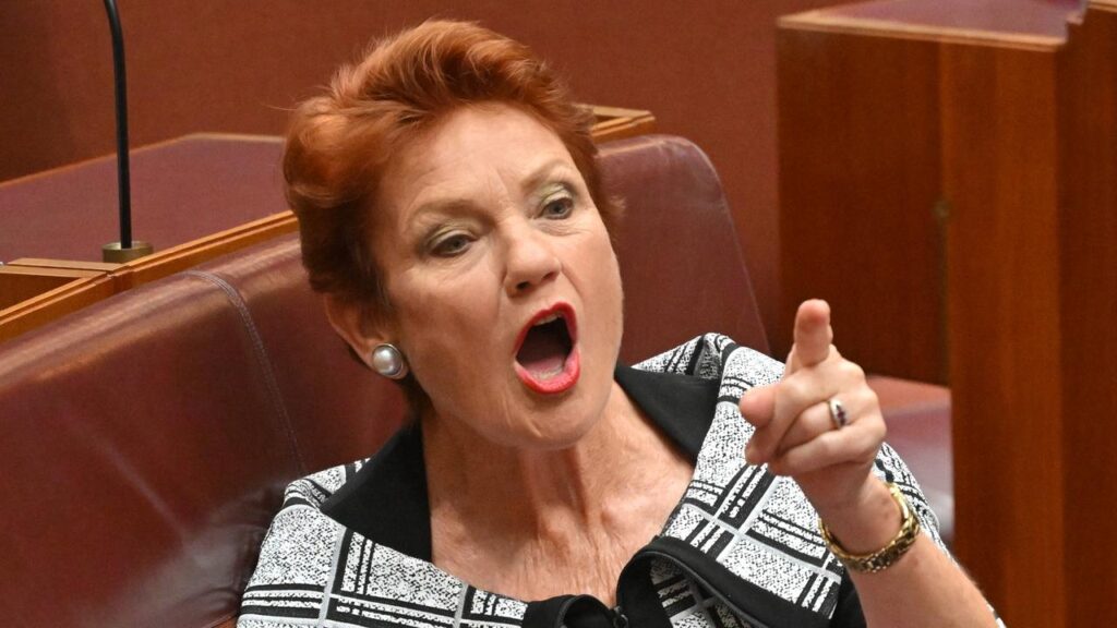 One Nation leader Pauline Hanson will have two other senators by her side in the upper house.