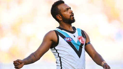 AFL TIGERS POWER