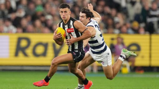 AFL MAGPIES CATS