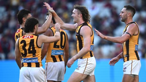 AFL DEMONS HAWKS