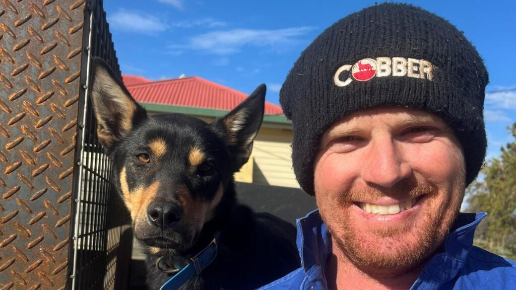 Farmer Daniel Pumpa says he’d be lost without kelpie Ripper, who is ‘a freak’ at herding sheep.