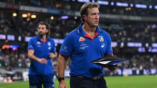AFL BLUES BULLDOGS