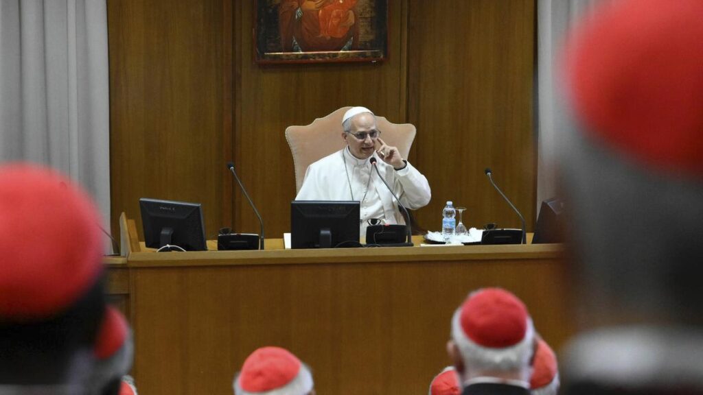 Pope Leo XIV has asked cardinals to “continue on the journey” begun by Pope Francis.