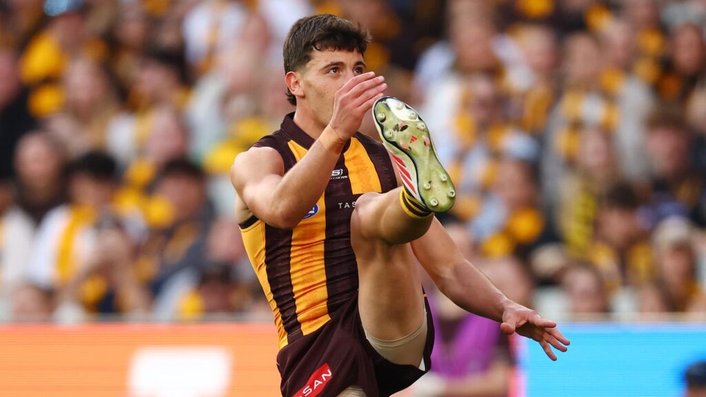 Young gun Massimo D’Ambrosio believes high-flying Hawthorn are yet to really hit their straps.