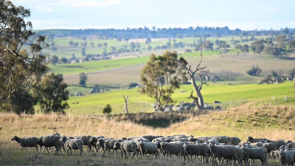 Australian farmland values have grown for an 11th consecutive year and further rises are expected.