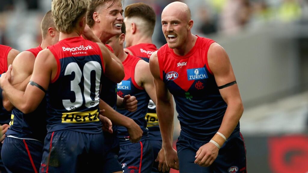 The Demons’ Aidan Johnson (right) is facing the possibility of another AFL suspension.