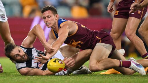 AFL LIONS CATS
