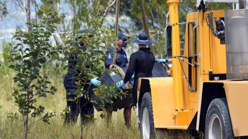 DOUBLE MURDER BODY SEARCH KINGSTON