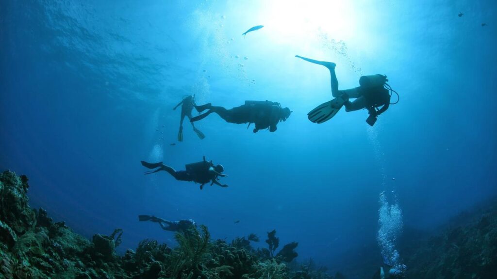 The surveying of coral reefs over recent decades reveals much about the impact of climate change.