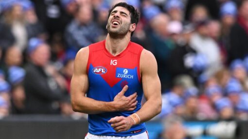 AFL MAGPIES DEMONS