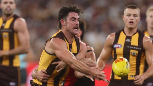 AFL HAWKS BOMBERS