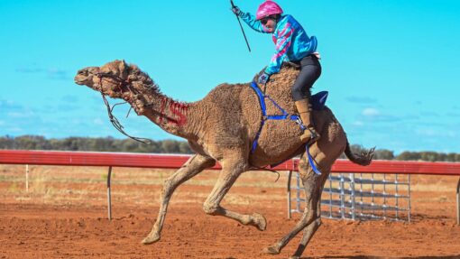 OUTBACK CAMEL TRAIL