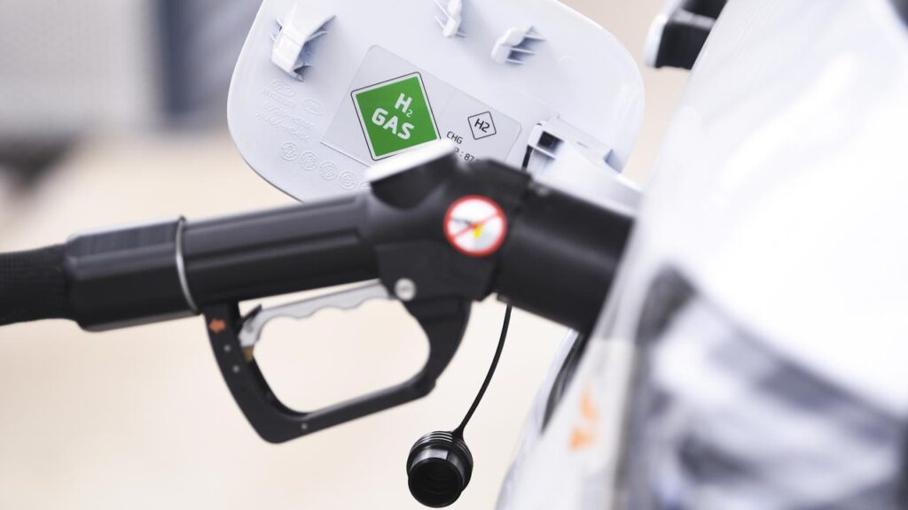 The plug has been pulled on plans for a project to produce green hydrogen in Queensland.
