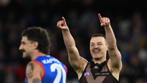 AFL BULLDOGS HAWKS