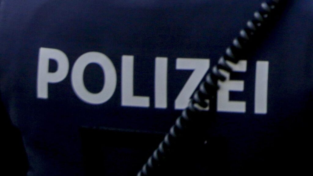 Eight people have been killed in a shooting attack at an Austrian school, say reports citing police.