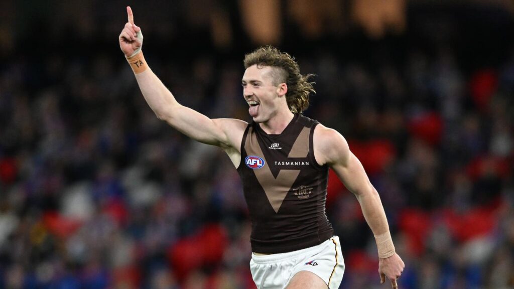 Josh Weddle was outstanding as Hawthorn bounced back with a win last week over the Bulldogs.