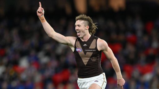 AFL BULLDOGS HAWKS
