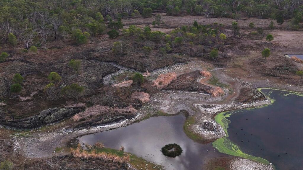 Traditional Owners are using environmental DNA sampling to care for waterways in Budj Bim, Victoria.
