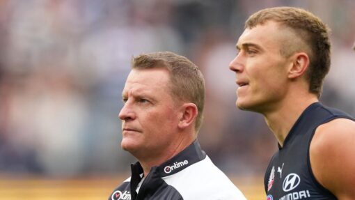 AFL BLUES CATS