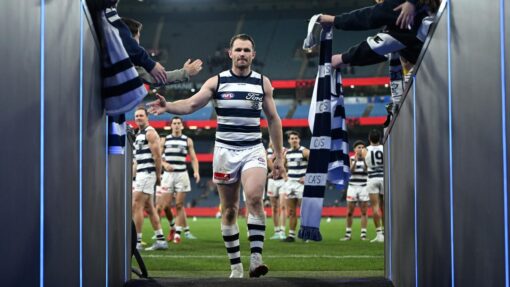 AFL BOMBERS CATS