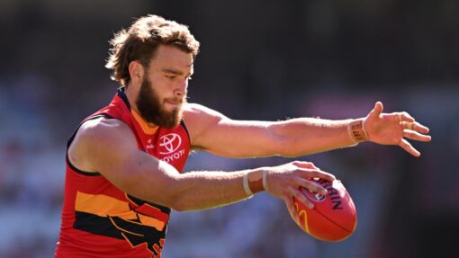 AFL BOMBERS CROWS