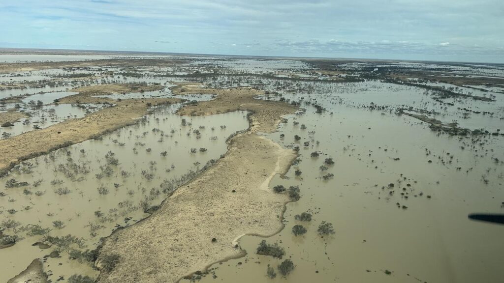 Floodwaters from Queensland’s record-breaking autumn rain are flowing into the salt lake.