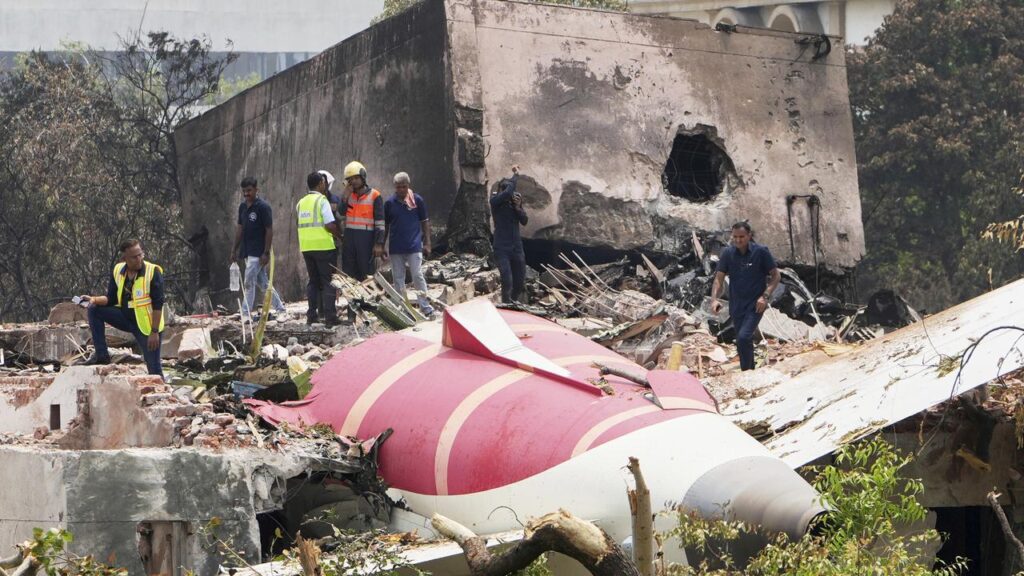 A government panel will investigate all possible theories behind the deadly Air India plane crash.
