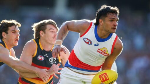 AFL CROWS BULLDOGS