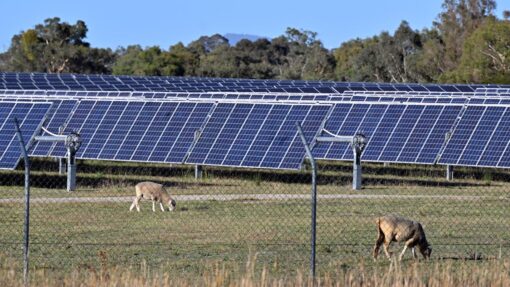 RENEWABLE ENERGY STOCK