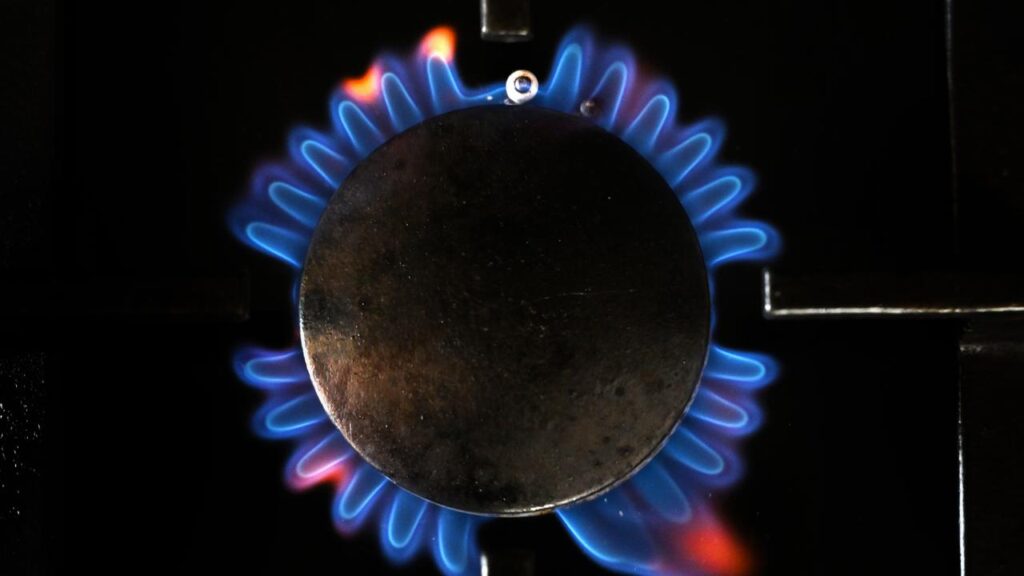 The ACCC is taking Australian Gas Networks to the Federal Court over renewable gas claims.