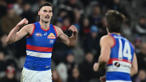 AFL SAINTS BULLDOGS