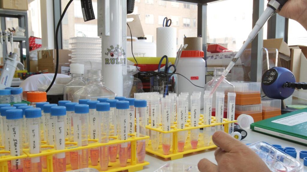 Scientists at one university have used AI to streamline testing to cut emissions from ammonia.