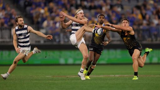 AFL EAGLES CATS