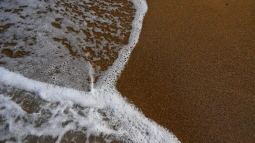 COASTAL STOCK