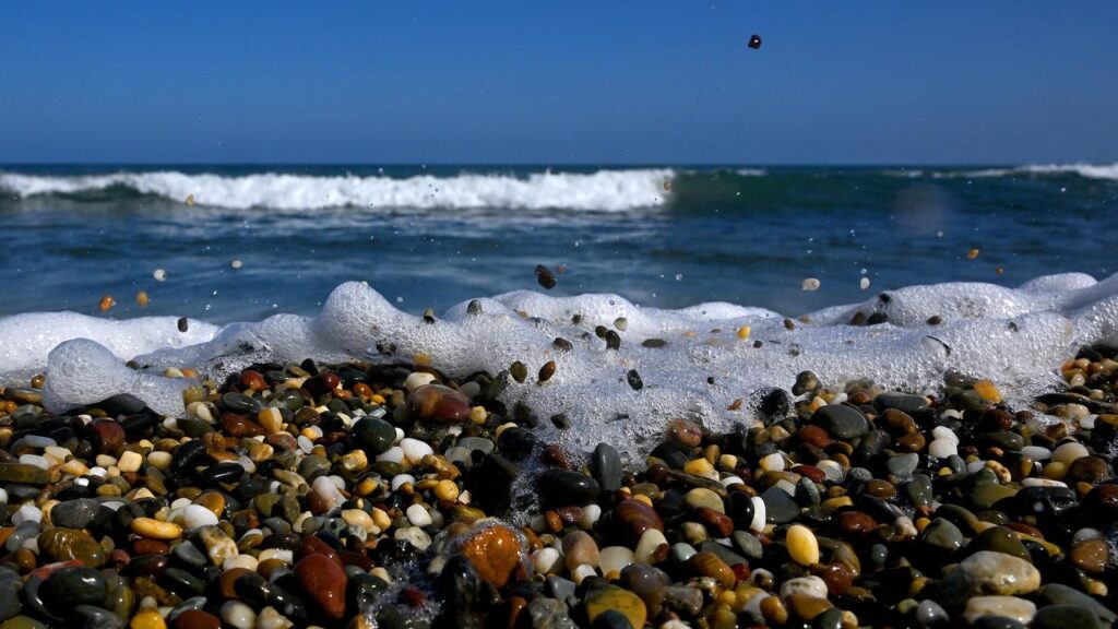 UK naturalist and broadcaster David Attenborough says the sea is the most important place on earth.