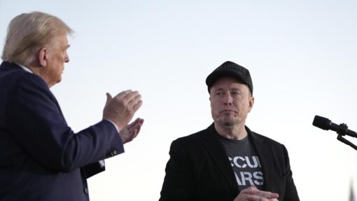 Trump Musk Business Fallout