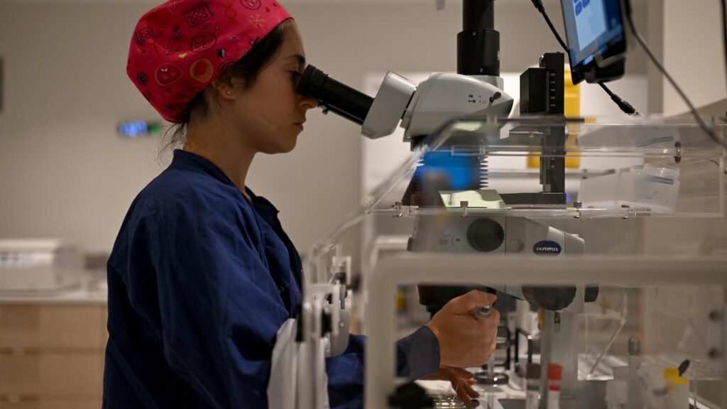 Clinics like Connect IVF employ cutting edge electronic witnessing systems to guard against error.