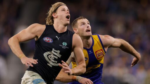 AFL EAGLES BLUES