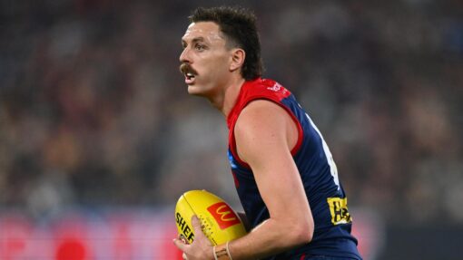 AFL DEMONS CATS