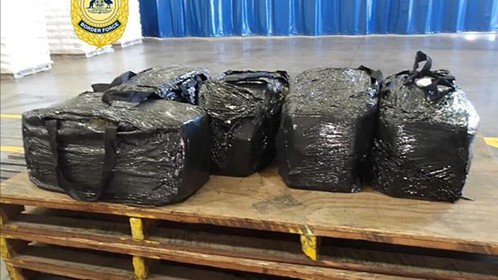 Authorities have seized more than 250kg of cocaine inside a shipping container in Brisbane.