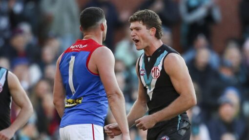 AFL POWER DEMONS