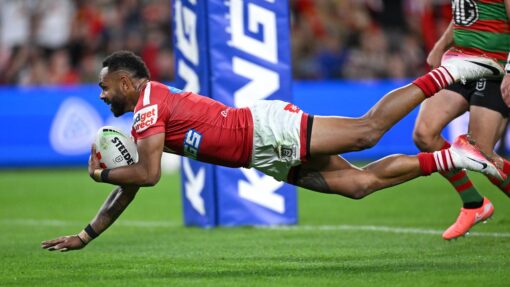 NRL DOLPHINS RABBITOHS