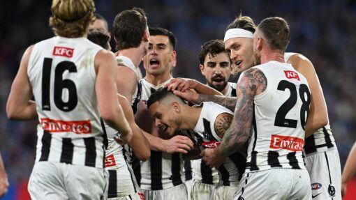 AFL DEMONS MAGPIES