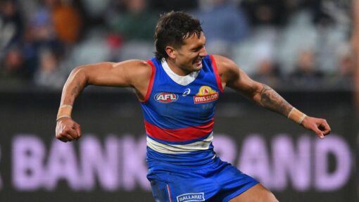 AFL CATS BULLDOGS