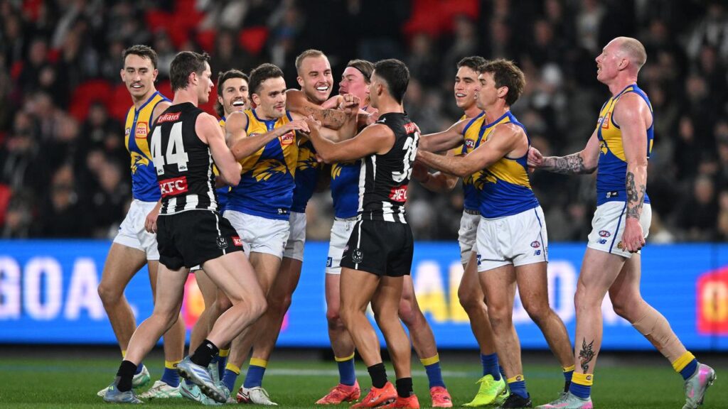 The Eagles showed they were up for the fight when they took on Collingwood at Marvel Stadium.