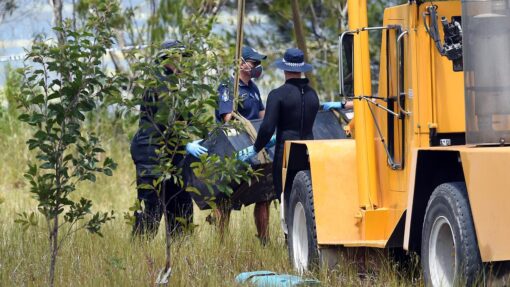 DOUBLE MURDER BODY SEARCH KINGSTON